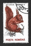 Stamps Romania -  3837 - Ardilla Roja