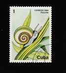 Sellos de America - Cuba -  Polymita