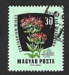Stamps Hungary -  1419 - Centáurea Menor