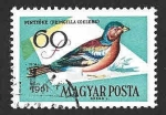 Stamps Hungary -  1428 - Pinzón Vulgar