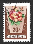 Stamps Hungary -  1465 - Rosa Floribunda