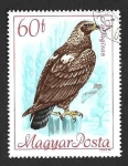 Stamps Hungary -  1891 - Águila Imperial