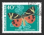 Stamps Hungary -  1966 - Mariposa
