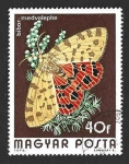 Stamps Hungary -  2313 - Tigre Púrpura