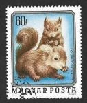 Stamps Hungary -  2404 - Animales Jóvenes