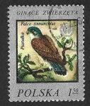 Sellos de Europa - Polonia -  2217 - Protección de la Vida Silvestre
