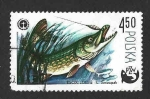 Stamps Poland -  2330 - Centenario de la Pesca Polaca