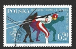 Sellos de Europa - Polonia -  2382 - XIII JJOO de Invierno