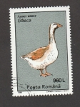 Stamps Romania -  Anser anser