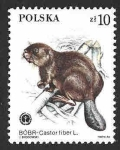 Stamps Poland -  2653 - Animales Protegidos