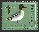 Stamps Poland -  2698 - Patos Salvajes