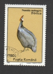 Stamps Romania -  Numida maleagris