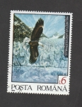Stamps Romania -  Aliaeethus leucocephalus