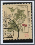 Stamps Germany -  Bryny Blanca