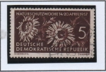 Stamps Germany -  Planta d' Cardo