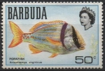 Stamps : America : Antigua_and_Barbuda :  Peces: Porkfish