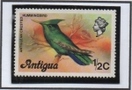 Stamps : America : Antigua_and_Barbuda :  Loro Imperial