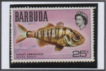 Stamps : America : Antigua_and_Barbuda :  Peces: Great Amberjack