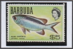 Stamps : America : Antigua_and_Barbuda :  Peces: Azul Chromis
