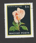 Stamps Hungary -  Rosa var.michele Meilland 