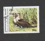Stamps Cambodia -  Piquero patiazul