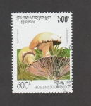 Stamps Cambodia -  Champiñones