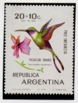 Stamps Argentina -  Picaflor enano