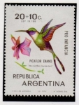 Sellos de America - Argentina -  Picaflor enano