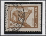Sellos de America - Argentina -  Caimán