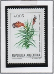 Sellos de America - Argentina -  Clavel d' Aire