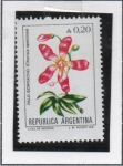 Stamps Argentina -  Palo Borracho
