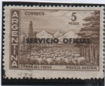 Sellos de America - Argentina -  Riqueza Austral