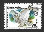 Stamps Russia -  5871 - Búho Nival