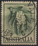 Sellos de Oceania - Australia -  Zarzo (flor)