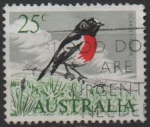 Sellos de Oceania - Australia -  Scarlet Robin