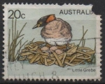 Stamps Australia -  pajaros: Zampullin Chico