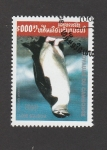 Stamps Cambodia -  Pinguino