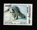 Stamps Cambodia -  Zorro rojo