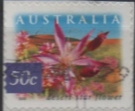 Stamps Australia -  Estrella d' Desierto