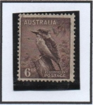 Sellos de Oceania - Australia -  Kookaburra