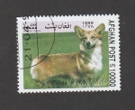 Stamps Afghanistan -  Perro Corgi galés