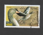 Stamps Afghanistan -  Pato