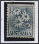 Stamps Australia -  Campanas d' Navidad