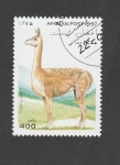 Stamps Afghanistan -  Lama vicugna