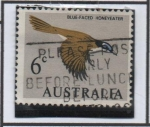 Stamps Australia -  Honeyeter Azul-hecho