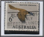 Sellos de Oceania - Australia -  Honeyeter Azul-hecho