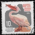 Stamps Russia -  URSS