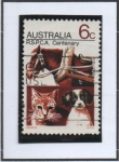 Stamps Australia -  Real sosiedad d' prevencion d' l' Animales