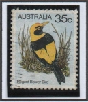 Stamps Australia -  Pajaros Australianos: Pajaro Glorieta