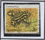 Sellos de Oceania - Australia -  Rana Corroboree